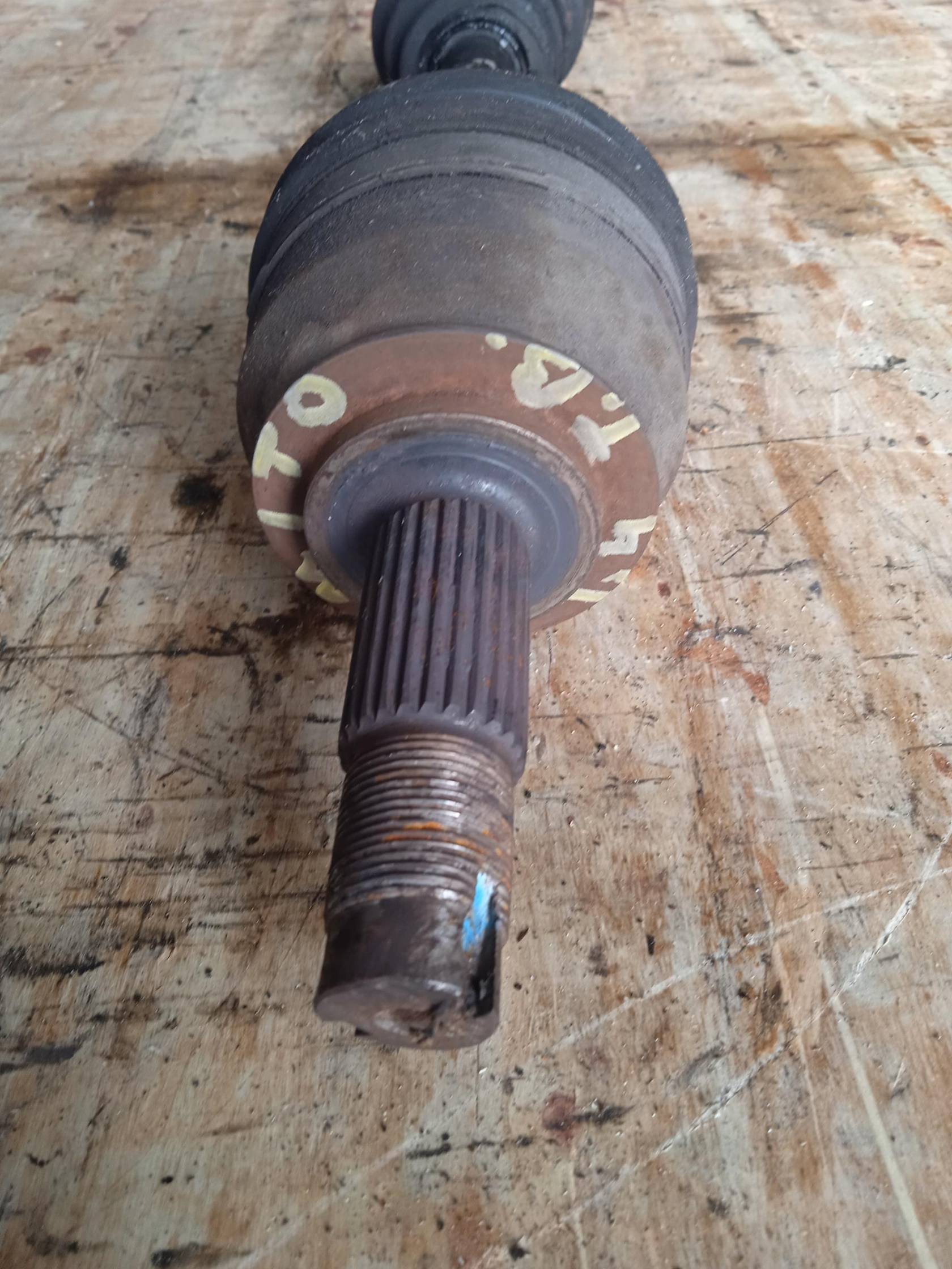 Semialbero ant. compl. dx.